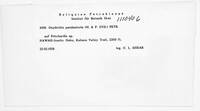 Oxydothis pandanicola image